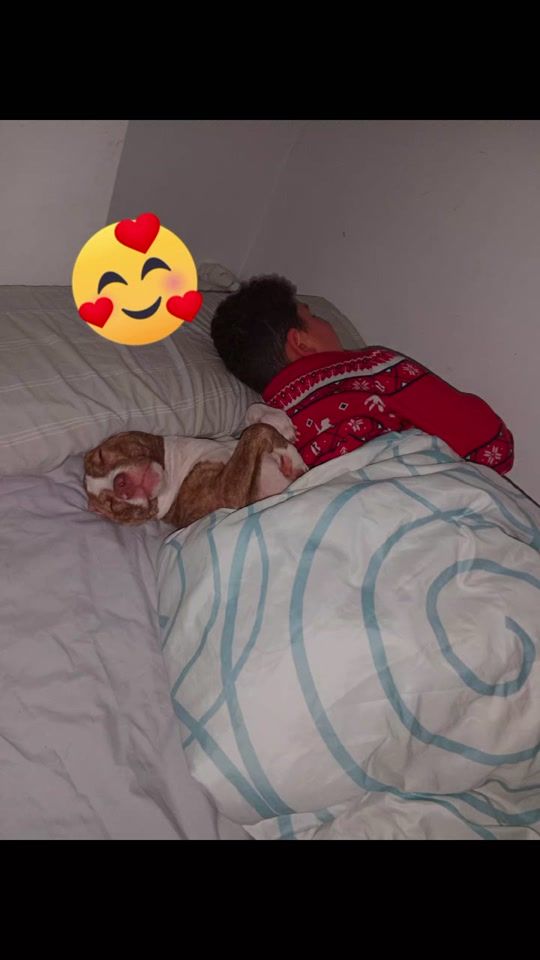 TikTok video thumbnail by cristian.herrera7347