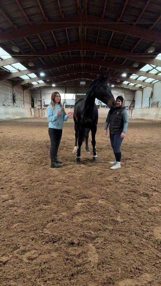 TikTok video thumbnail by jessica.egli