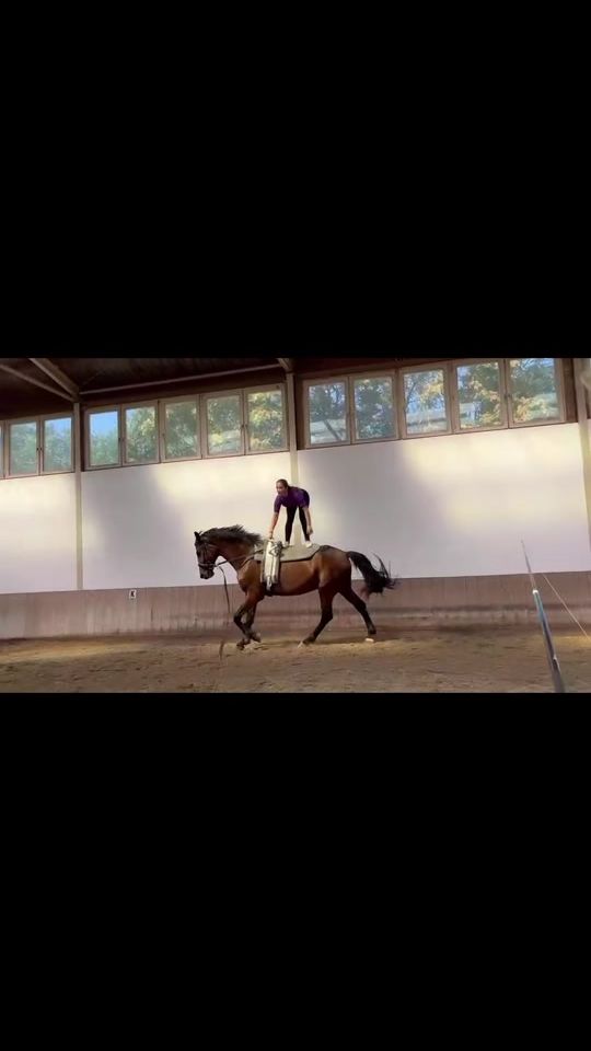 TikTok video thumbnail by vaulting._