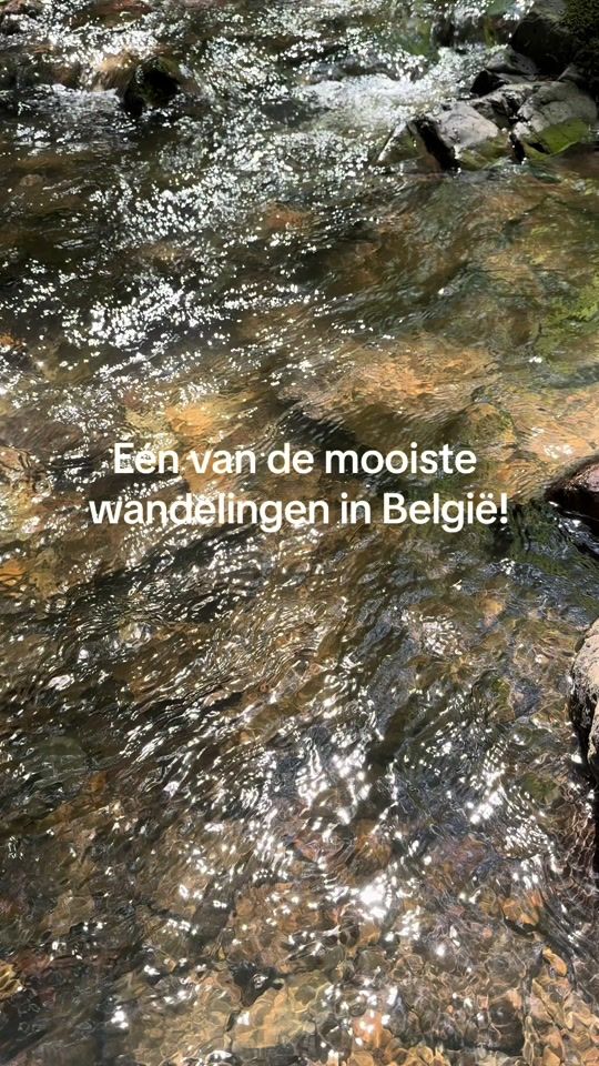 TikTok video thumbnail by landerhoskens