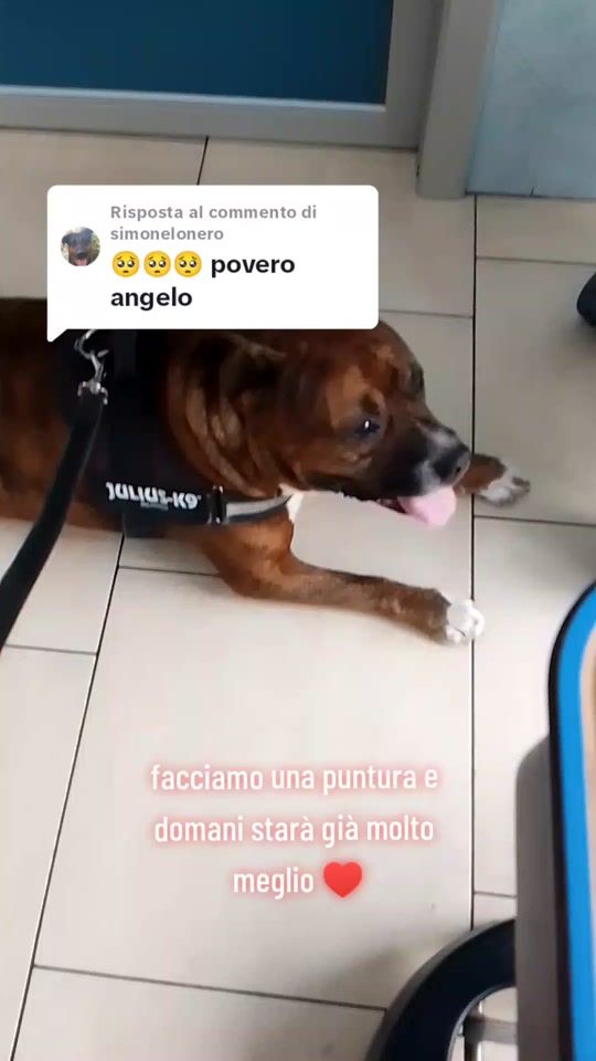 TikTok video thumbnail by simonettapiccini3