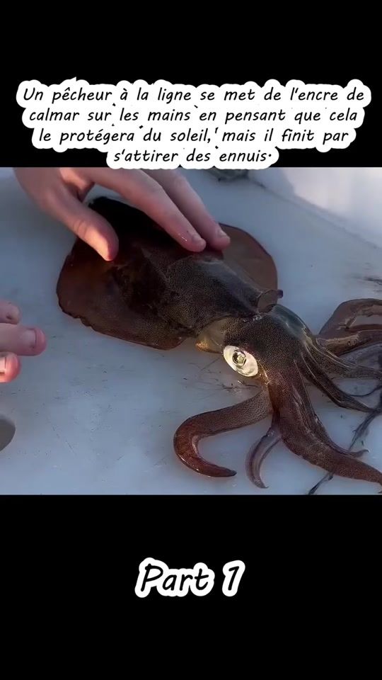 TikTok video thumbnail by obten4