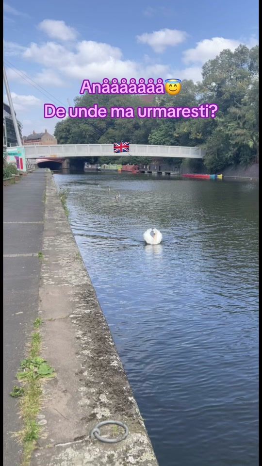 TikTok video thumbnail by inimadeolteanca