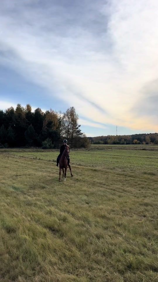 TikTok video thumbnail by lenna.equest