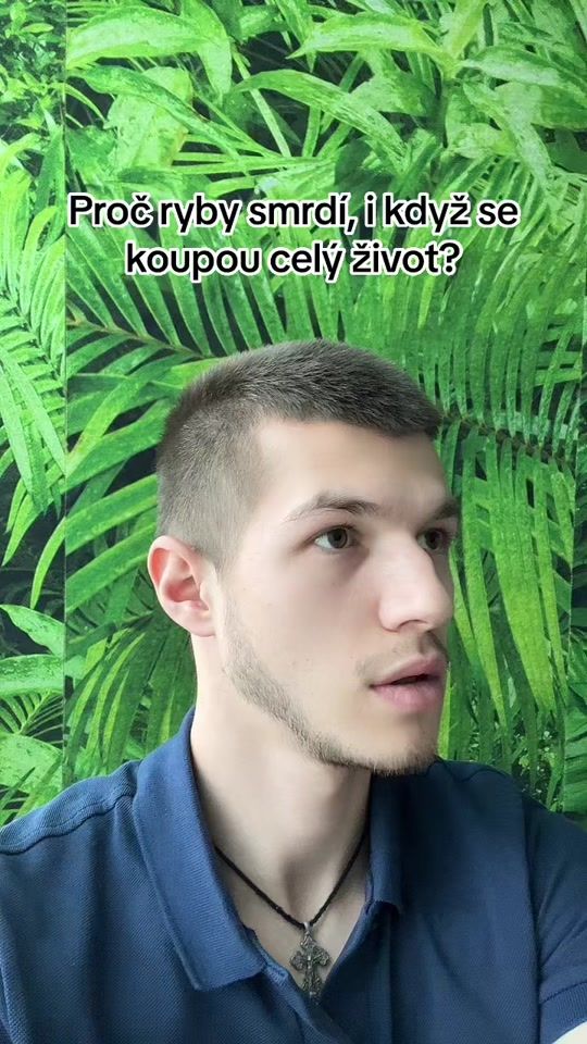 TikTok video thumbnail by zamysli_see