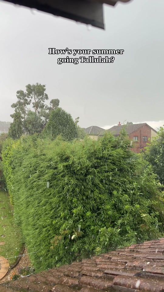 TikTok video thumbnail by tallulahmetcalfe3