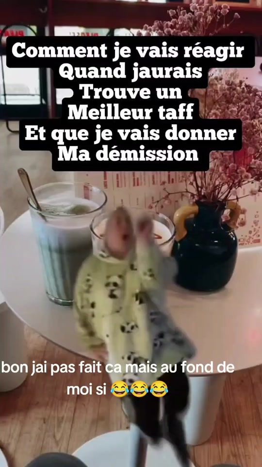 TikTok video thumbnail by jdreves