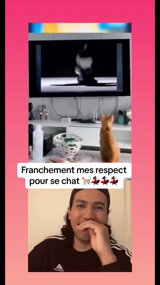 TikTok video thumbnail by robine074