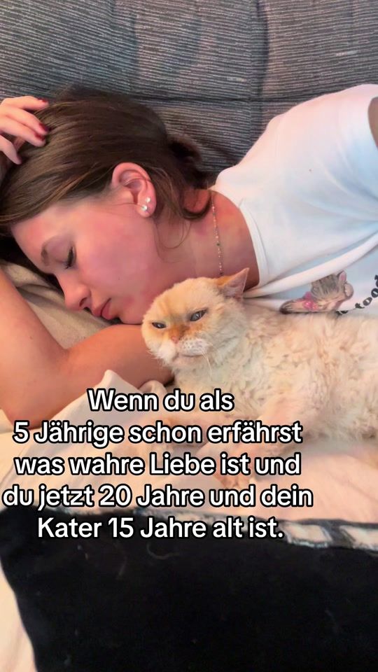 TikTok video thumbnail by lichterfelde