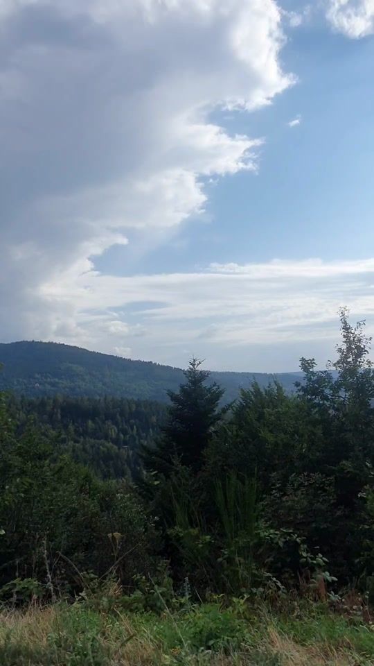 TikTok video thumbnail by camille0197