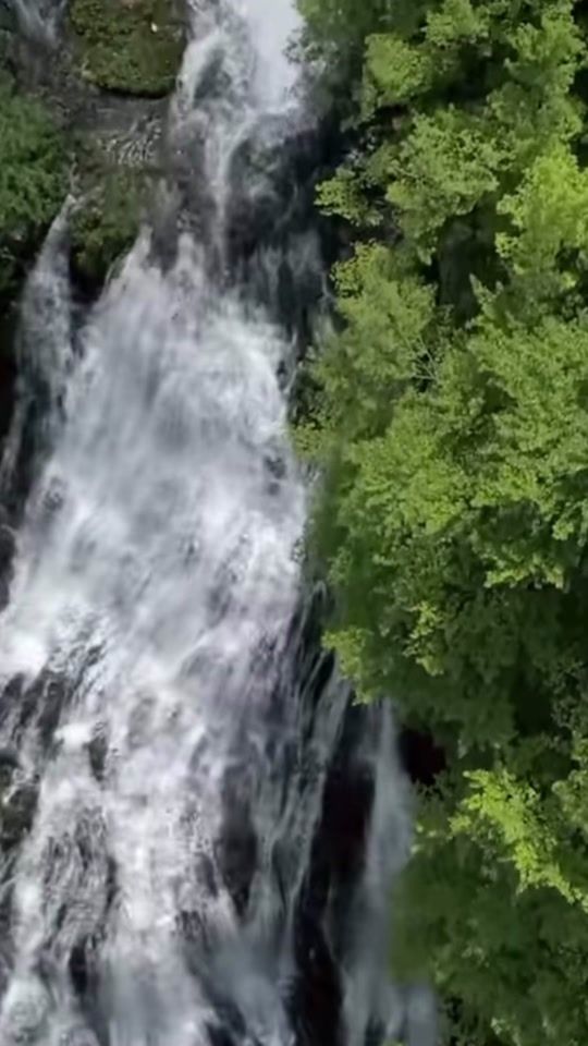 TikTok video thumbnail by .edits__6