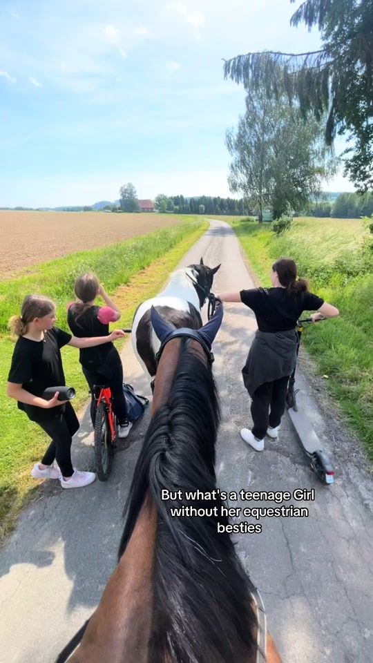 TikTok video thumbnail by schecken.crew