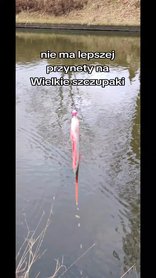 TikTok video thumbnail by mfly_lures