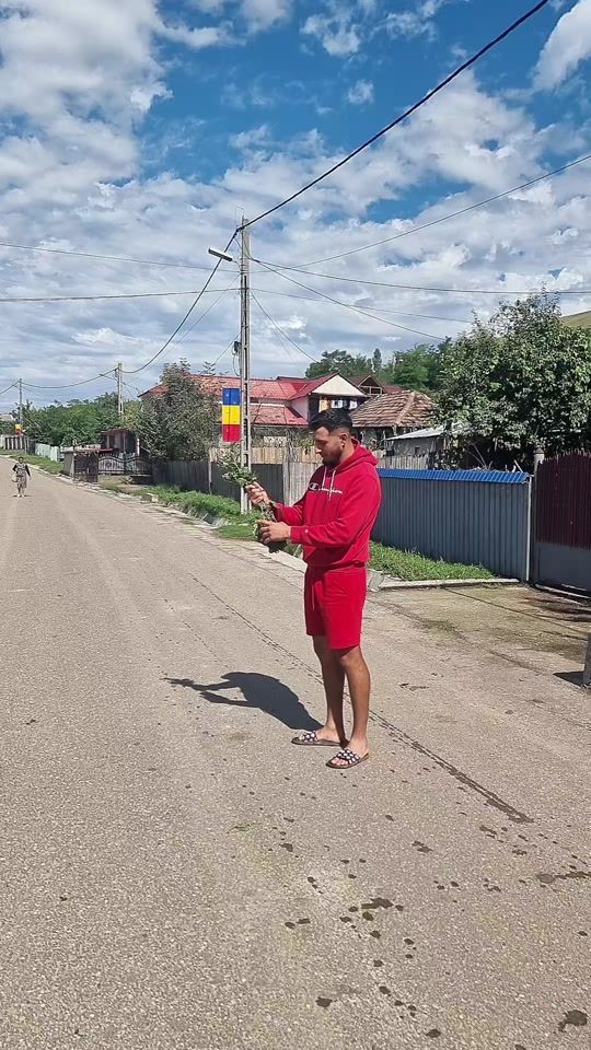 TikTok video thumbnail by florinbarsan.02