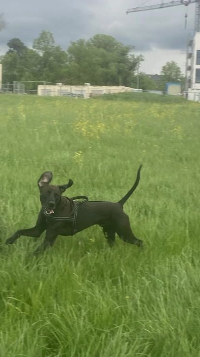 TikTok video thumbnail by sky110512