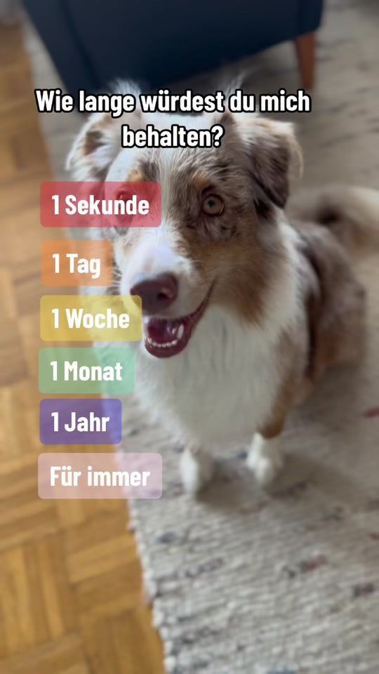 TikTok video thumbnail by the.beautiful.romy