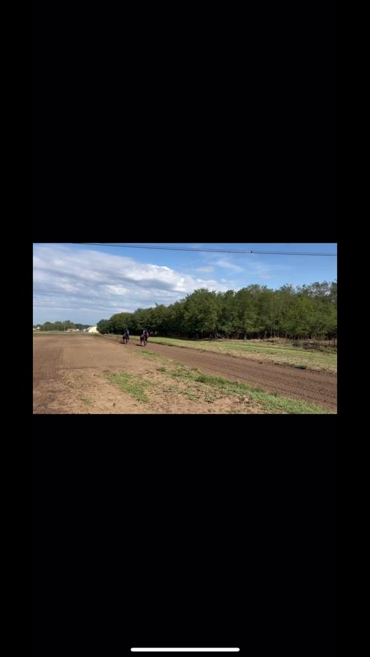 TikTok video thumbnail by morvaielod18