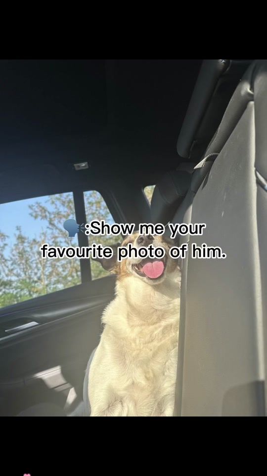 TikTok video thumbnail by meh2554