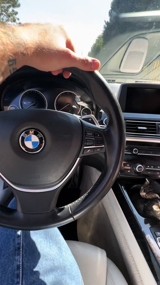 TikTok video thumbnail by marinksl