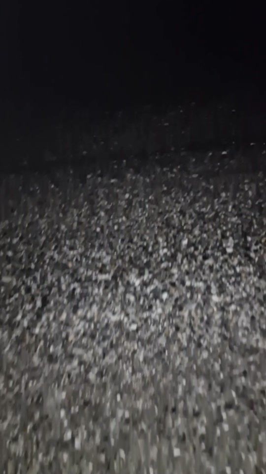 TikTok video thumbnail by mariangela_misscurvy2021