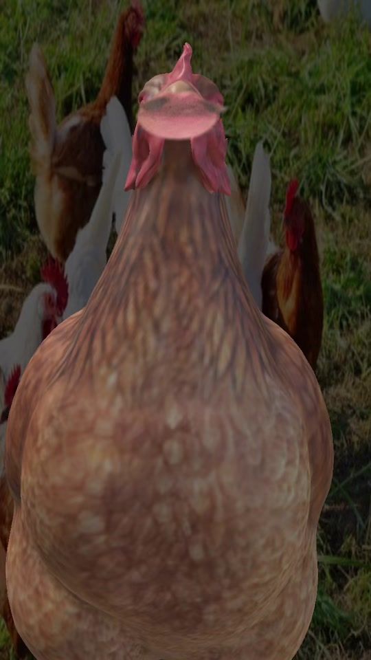 TikTok video thumbnail by garygriffin10