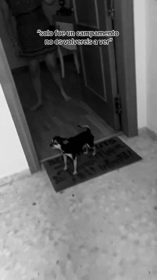 TikTok video thumbnail by _blancaagomezzz_2