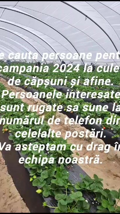 TikTok video thumbnail by valentinavali869