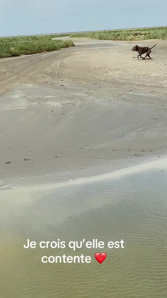 TikTok video thumbnail by andgie16