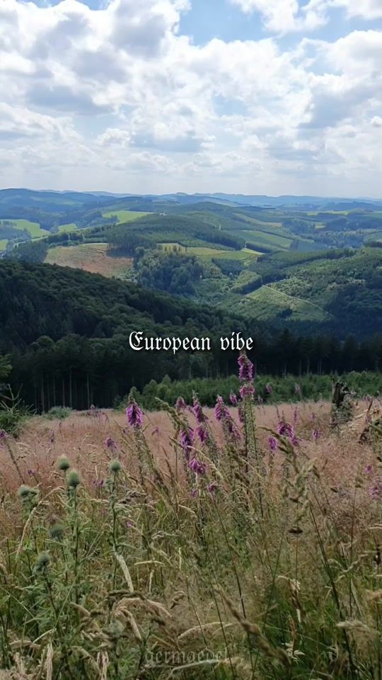 TikTok video thumbnail by germaedel