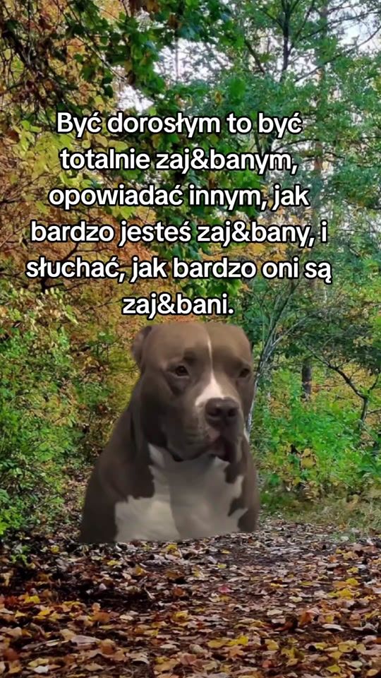 TikTok video thumbnail by a.co.jzeli