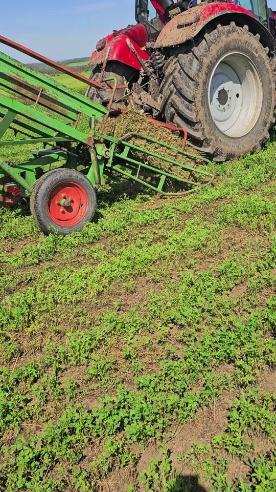 TikTok video thumbnail by iacinschivladut