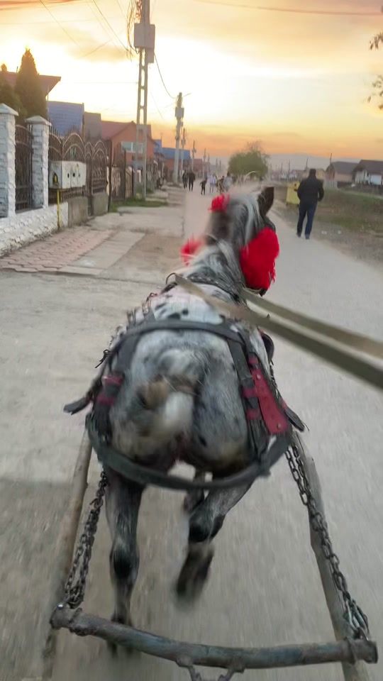 TikTok video thumbnail by ciprian991
