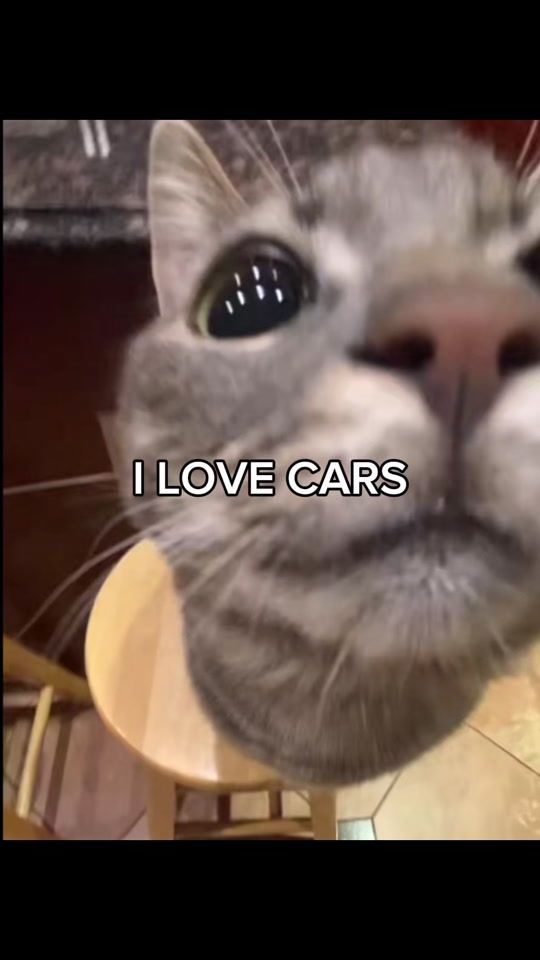 TikTok video thumbnail by xx.coffea