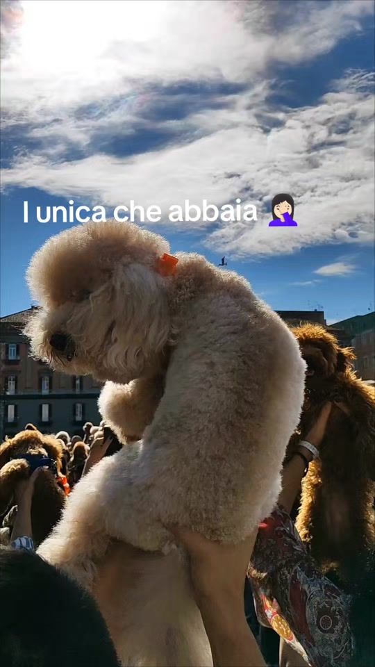 TikTok video thumbnail by miniatura1381