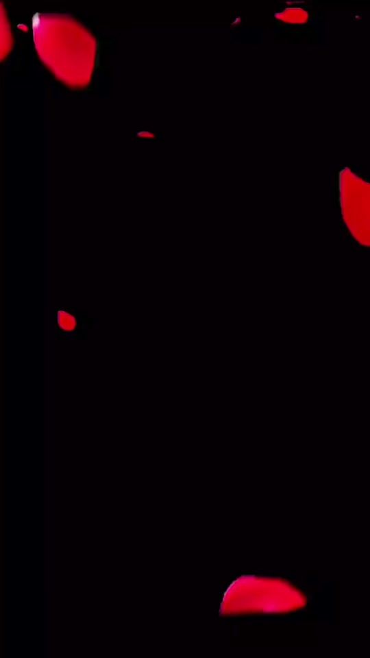 TikTok video thumbnail by cindy.sls.gitane