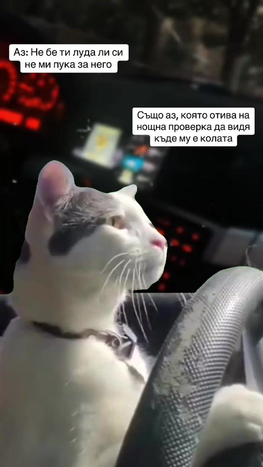 TikTok video thumbnail by s.7333