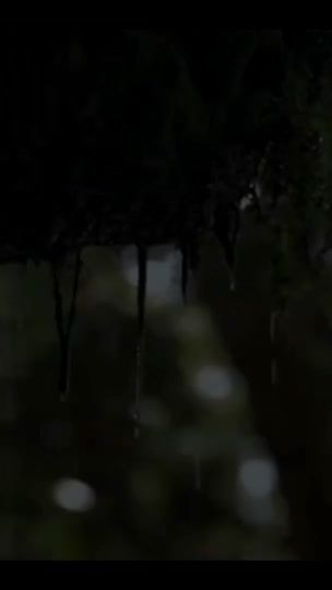 TikTok video thumbnail by noshua16