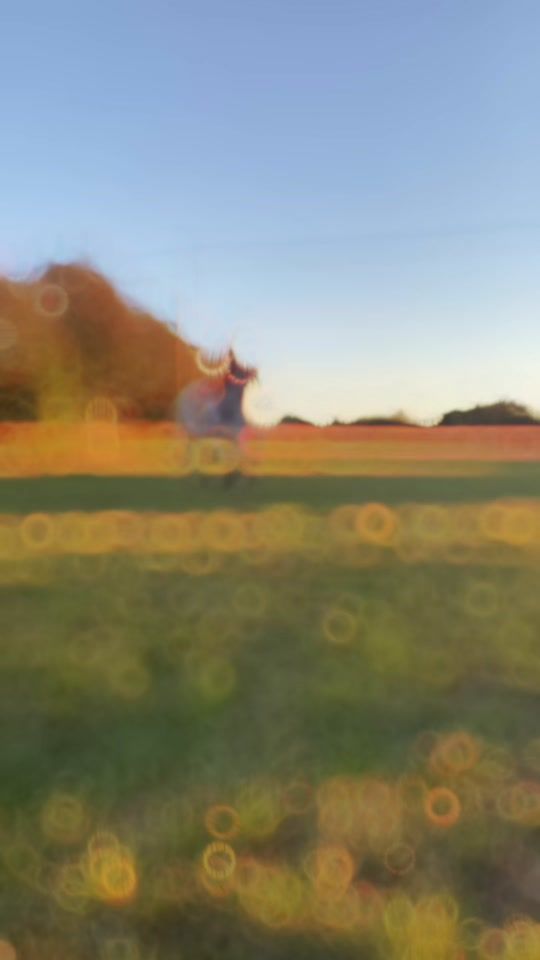 TikTok video thumbnail by siri_palle