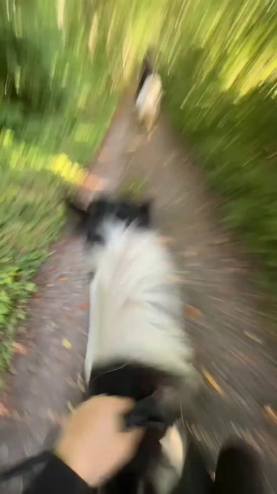 TikTok video thumbnail by migogminhest