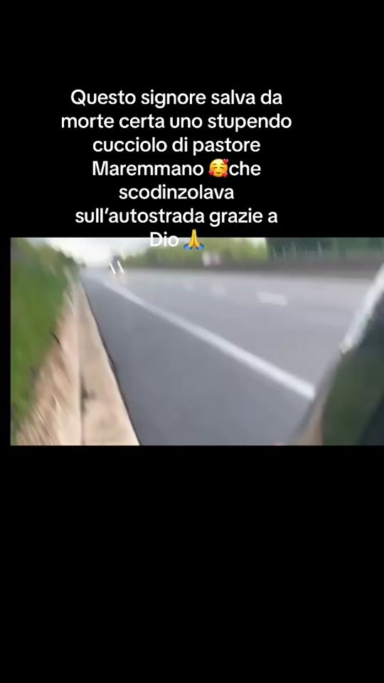 TikTok video thumbnail by andreamilicia637