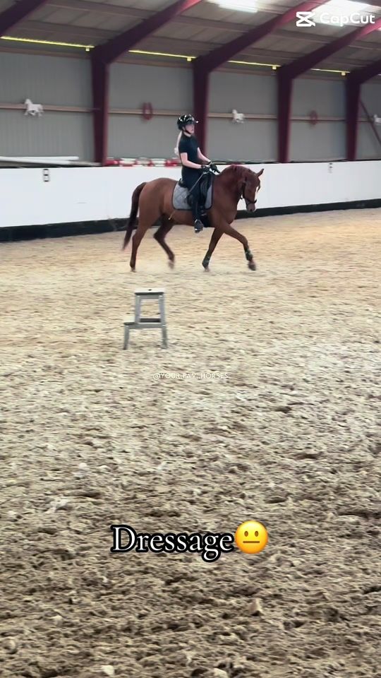 TikTok video thumbnail by showjumper.annanortvig