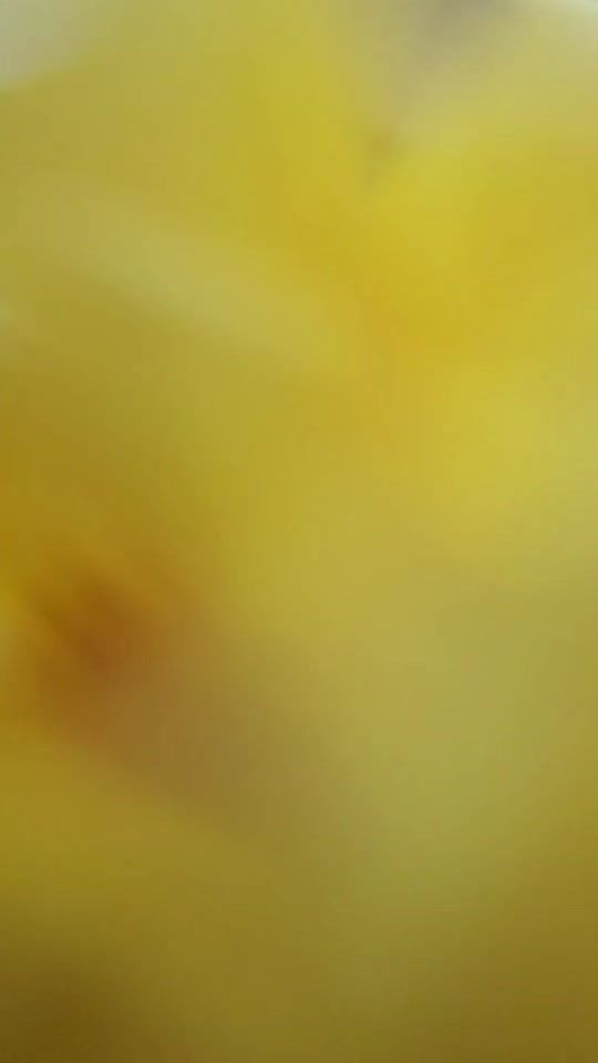 TikTok video thumbnail by elbandidojc_100