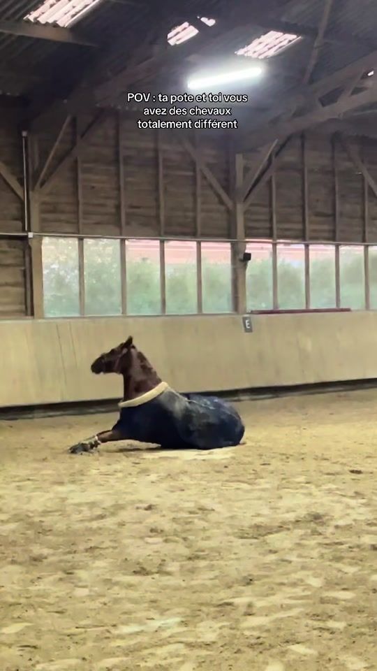 TikTok video thumbnail by india_ducay