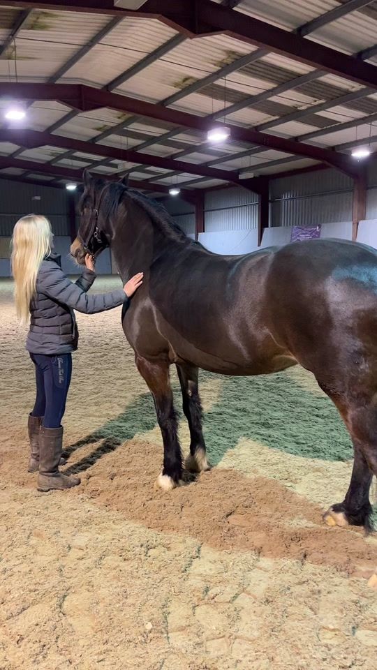 TikTok video thumbnail by emilieorgan