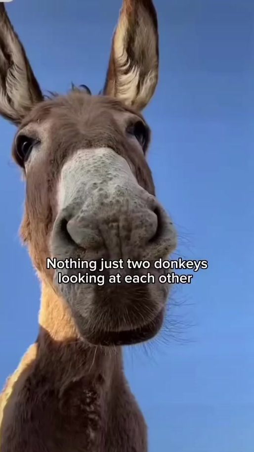 TikTok video thumbnail by johnsmithkamara