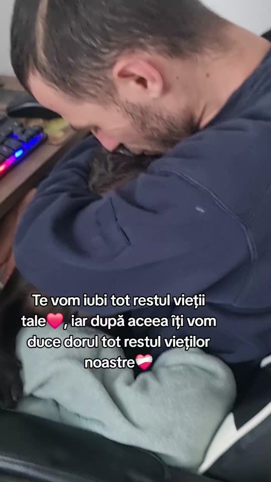 TikTok video thumbnail by mayathefrenchie07