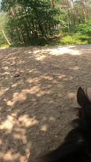 TikTok video thumbnail by vivienne._.k