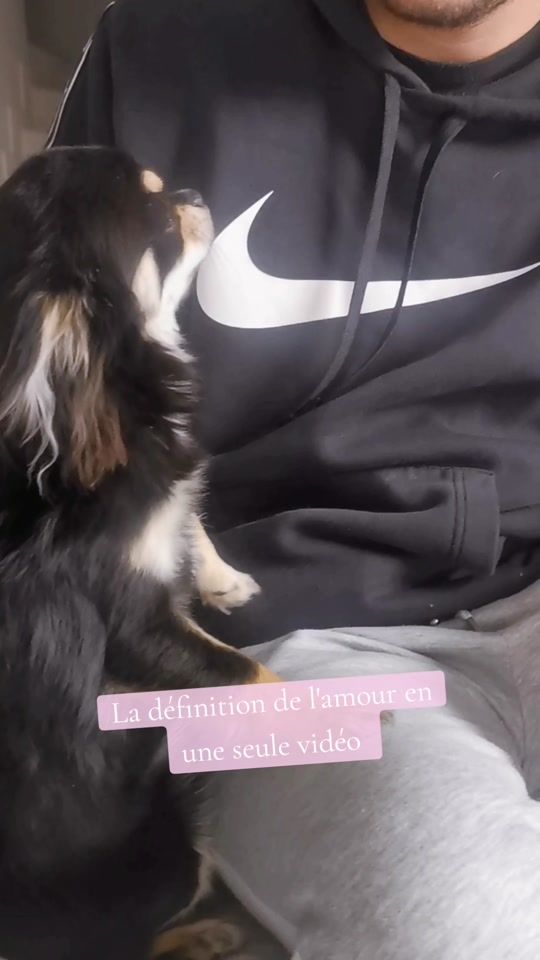 TikTok video thumbnail by maloludororo63