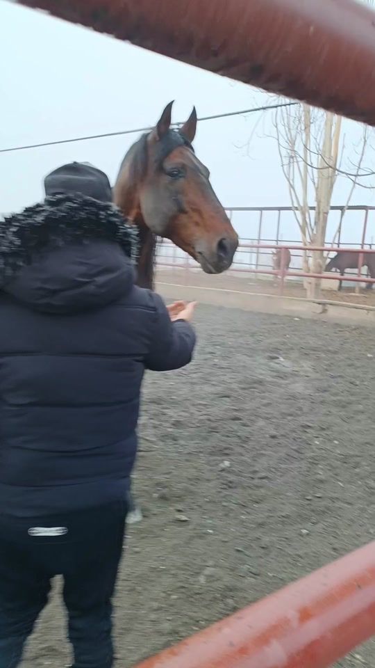 TikTok video thumbnail by jin_elsa