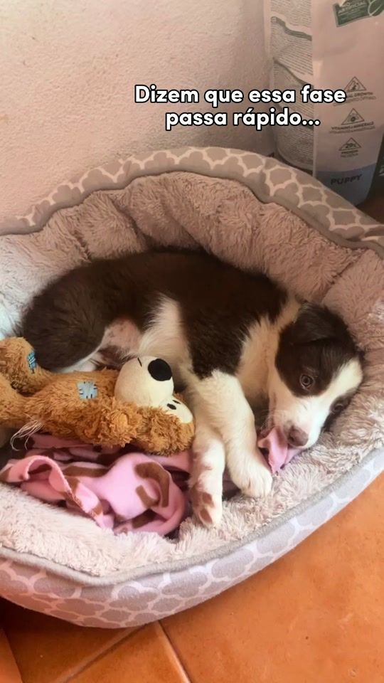 TikTok video thumbnail by ruthdsbizzle